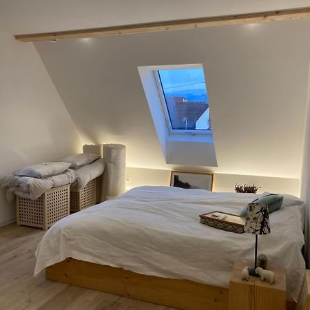 شقة Neues Penthouse-Loft Mit Konuskarte Fuer Gratis Oepnv Ehrenkirchen المظهر الخارجي الصورة