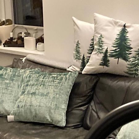 شقة Neues Penthouse-Loft Mit Konuskarte Fuer Gratis Oepnv Ehrenkirchen المظهر الخارجي الصورة