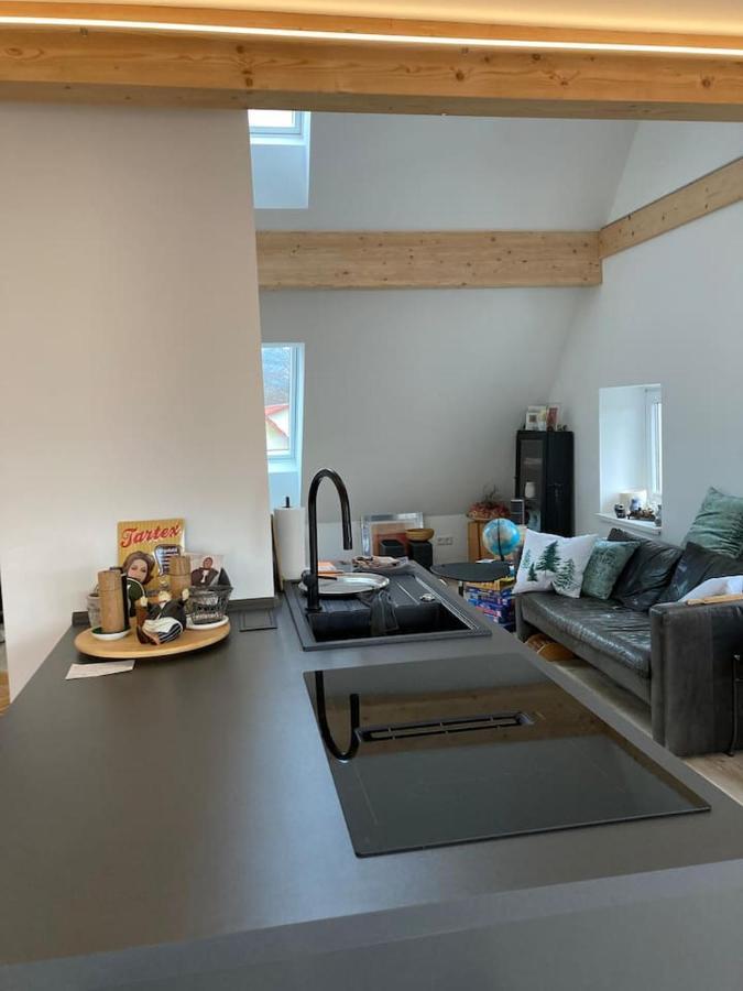 شقة Neues Penthouse-Loft Mit Konuskarte Fuer Gratis Oepnv Ehrenkirchen المظهر الخارجي الصورة