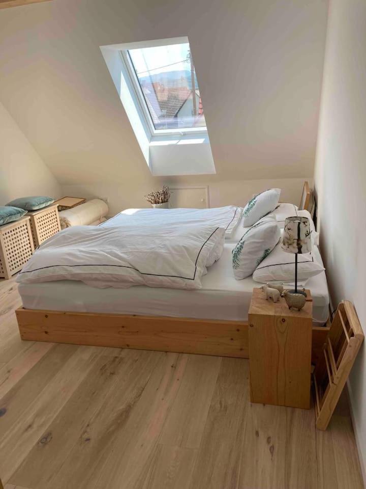 شقة Neues Penthouse-Loft Mit Konuskarte Fuer Gratis Oepnv Ehrenkirchen المظهر الخارجي الصورة